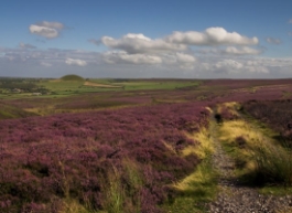 The North York Moors