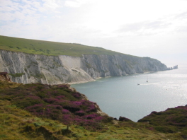 &nbsp The Needles