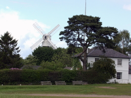 Wimbledon Common
