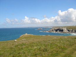 The Cornish Coast
