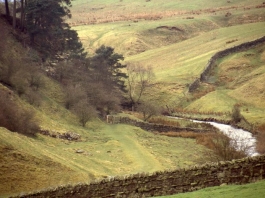 &nbsp Hadrian