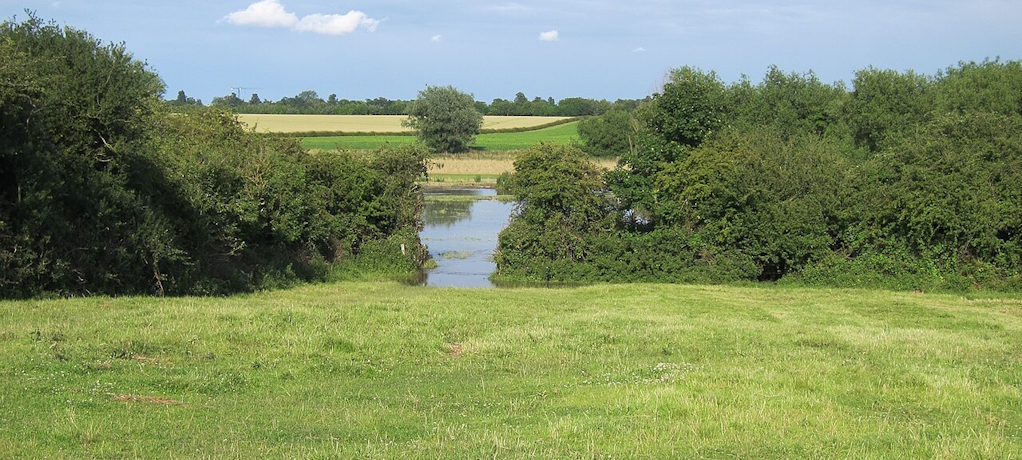 Grantchester Meadows