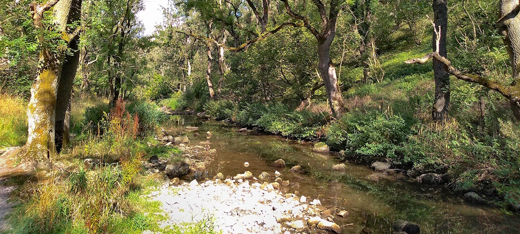 Lathkill_Dale_near_junction_with_Cales_Dale